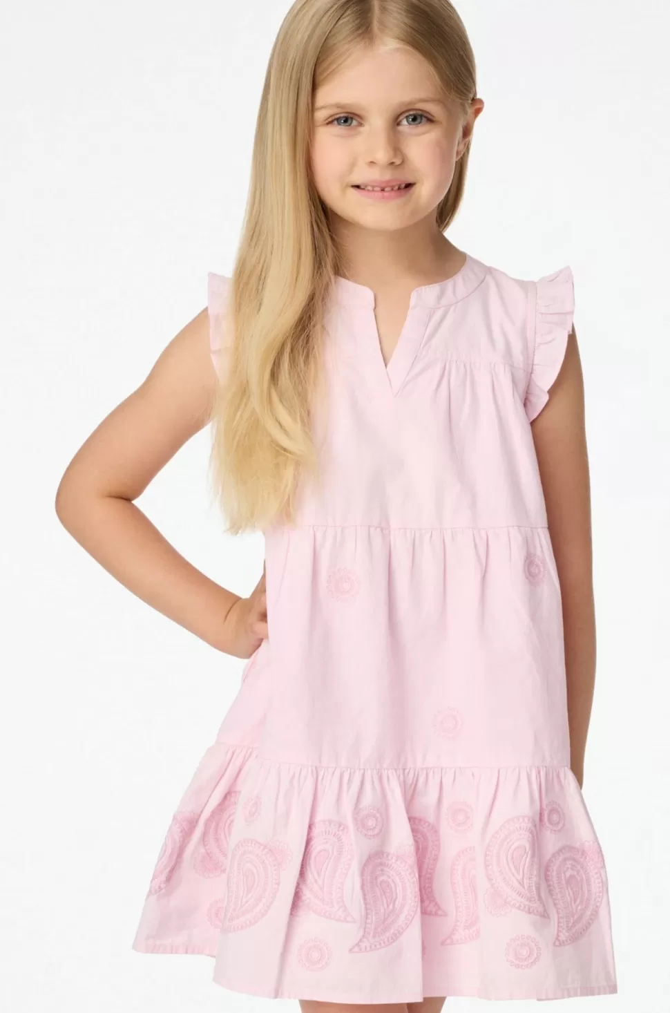 Roller Rabbit Kids Paisley Eyelet Patty Dress Pink Store